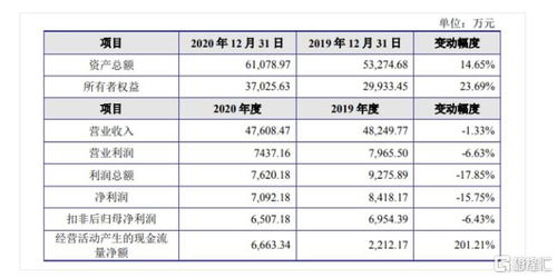 金智教育科创板IPO 聚焦高等教育信息化,2020年营收4.7亿元