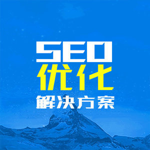 厦门SEO优化服务