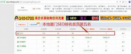 厦门seo哪个平台好汇总:厦门seo优化公司哪家好|2024年07月素材