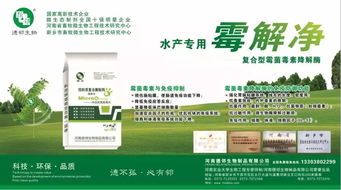 百家争鸣 共谋渔业 千亿产业链大平台,4月渔聚特区厦门