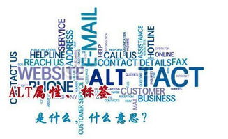 seo运营 如何优化页面标题二