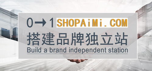 为什么亚马逊卖家想做独立站 看完这篇文章你就明白了