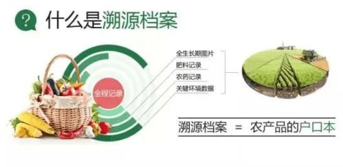 为什么要做农产品溯源