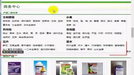 厦门seo.cao4.net排名极速飙升背后的核心优化策略