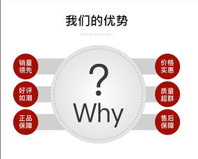 公司网站产品详情页