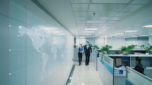 赞 厦门农行助力 大招商 ,全力推动金融强市建设