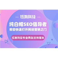 网站建设、网页设计与厦门SEO优化 一站式解决方案